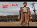Liverpool Giants 2018