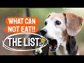 🐶¿WHAT Can DOGS Not EAT?❌Complete list