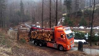 Virkesfrakt VOLVO FH 13 TRANSPORT LEŚNY
