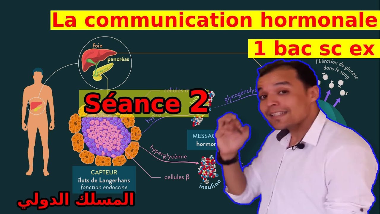 dissertation sur la communication hormonale