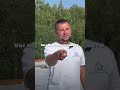Плоская кровля и строительство #shorts