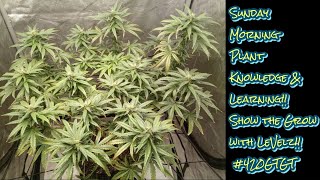 Sunday Mornings Grow Show with Levelz & #420GTGT!! CONE SMOKE & CHILL OUT WITH THE GROW COMMUNITY!!