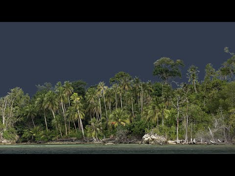 Kewang - "They were asking about the tree" - video from Blue Ventures