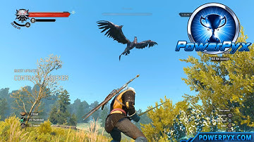 The Witcher 3 Wild Hunt - Shrieker Trophy / Achievement Guide (Shrieker Side Quest Walkthrough)