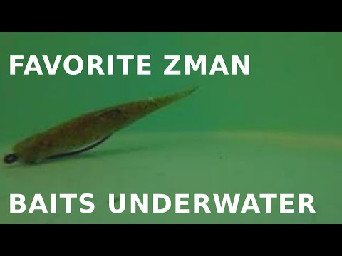 Favorite Zman Baits Underwater Streakz 3.75in Jerk Shadz 4in