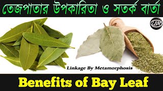 তেজপাতার ঔষধি উপকারিতা | Health Benefits of Bay Leaf in Bengali | Tej Patar Upokarita | LBM Ayurveda screenshot 1