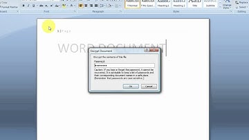 How to remove a password from a Word document? | Word 2007