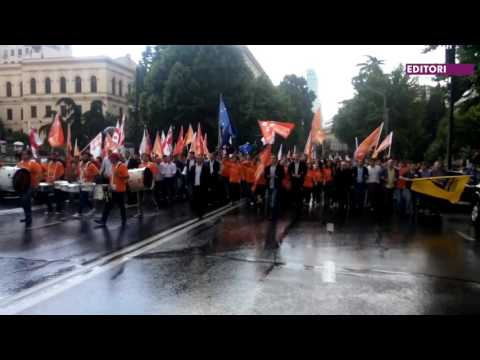 \"ახალი საქართველო\"-ს ყრილობა - რეგიუნების შემოერთება