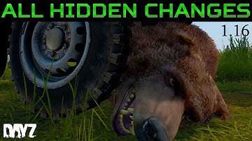 New Sniper Rifle & Stealth Kill + Trap, Base Building, KO & Vehicle Changes in DayZ 1.16