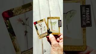 Nature journal specimen slides  #journaling #scrapbooking #mixedmedia