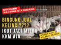 Bingung jual hasil ternak kelinci kalian kemana?? Bermitra aja sama KKM