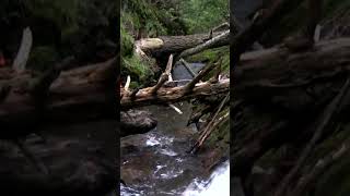 Little Union River, Mi Up