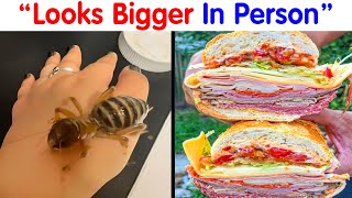 “Looks Bigger In Person”: 50 Times People Were Surprised By The Sheer Size Of Something