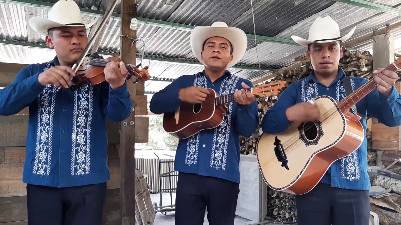 (EVTH) Trío Huapangueros Infalibles - El Fandanguito y El Gusto