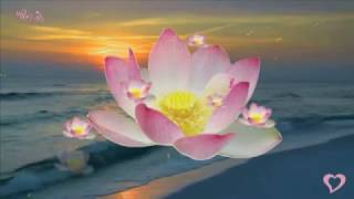 Maksim Mrvica ~ Still Waters ~