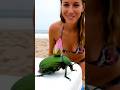 My new friend has a secret...🤫 Watch the magic bloom!#FlowerBeetle #Viral #Fantasy #Trending
