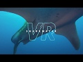 Sharkwater VR - Teaser