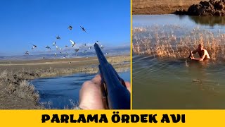 Ördekler Patir Patir Düştü - Ördek Avi - Duck Hunting - Chasse Au Canard - Entenjagd
