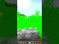 Minecraft Loser Enderman