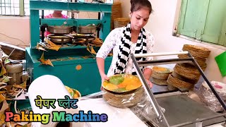 पेपर प्लेट Paking Machine | Paper Plate 🍽️ मशीन