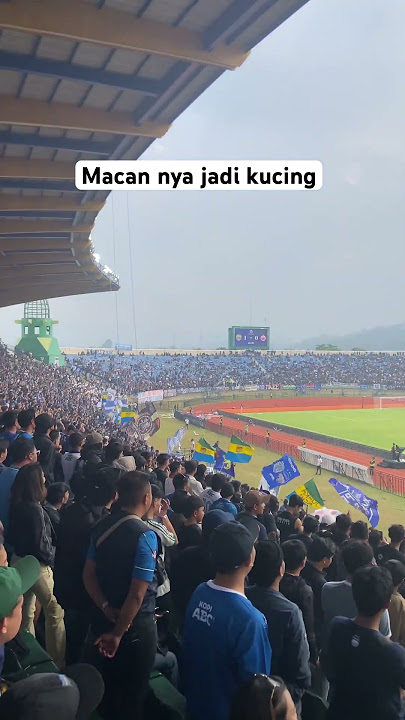 Macan nya jadi kucing