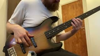 Changed my strings. DR Hi-beams on fretless Tokai Jazz Bass