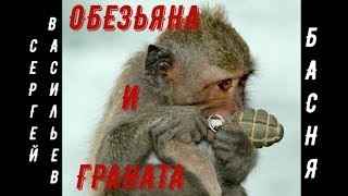 Сергей Васильев - Обезьяна и граната (басня)