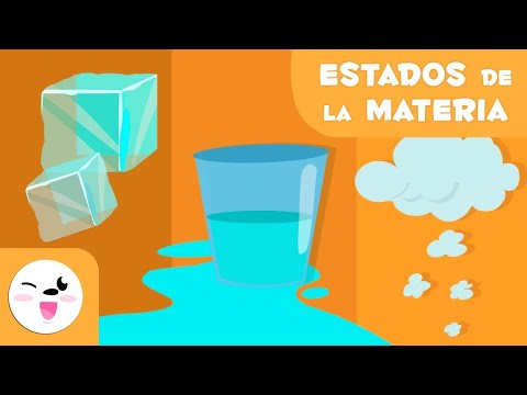 Video: Permanente Y Temporal