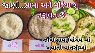 સામો અને મોરૈયા વચ્ચેનો તફાવત જાણી બનાવો સામા પાંચમમાં ખવાતી વાનગીની થાળી | Sama Pancham Recipe