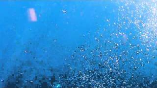 AMBA0007.MOV