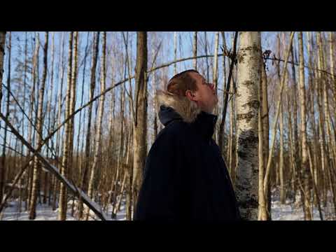 Krājas kopšanas cirtes nepieciešamība | Padomi meža īpašniekiem 🌳