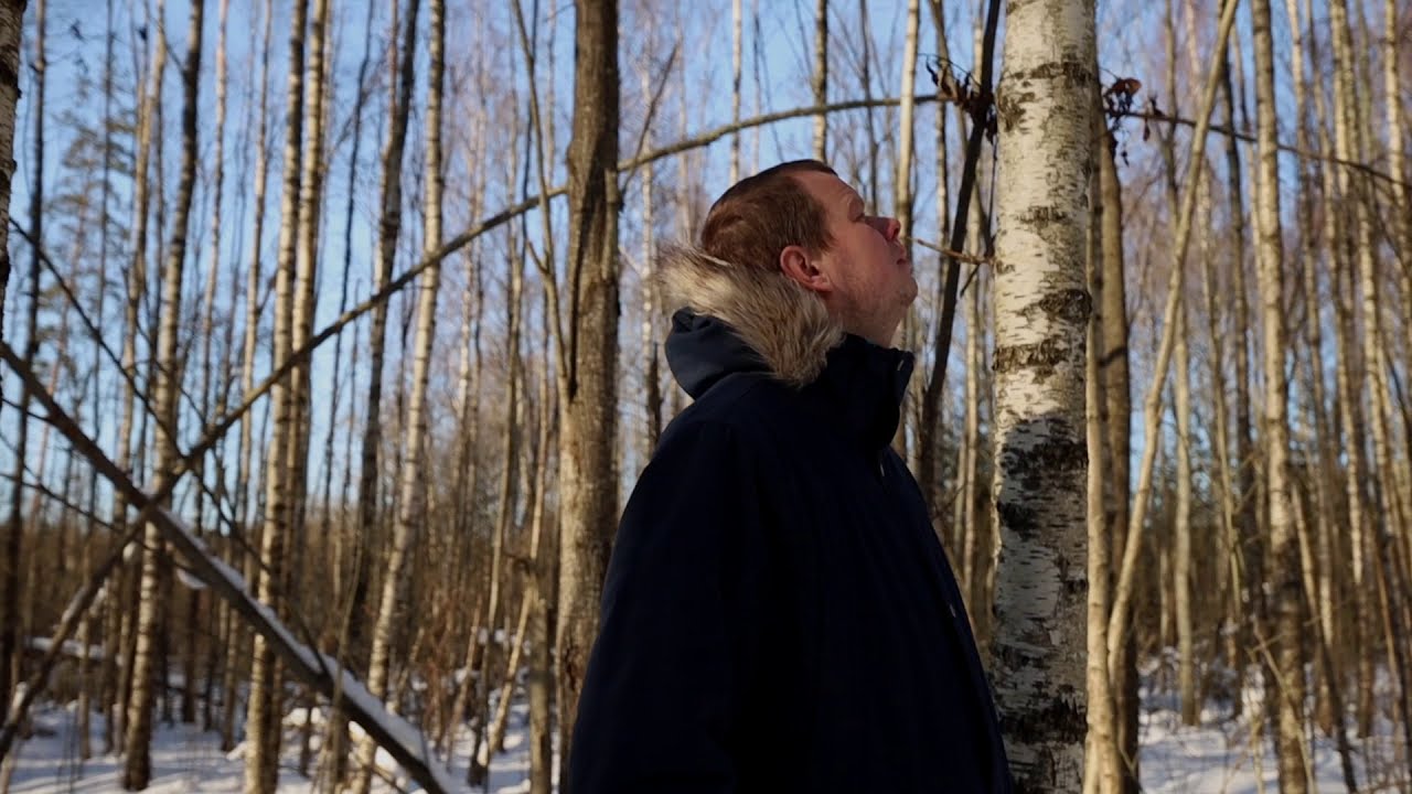 Krājas kopšanas cirtes nepieciešamība | Padomi meža īpašniekiem 🌳