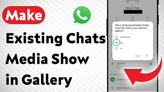 How to Make Existing Chats Media Show in Gallery on WhatsApp (Updated) screenshot 4