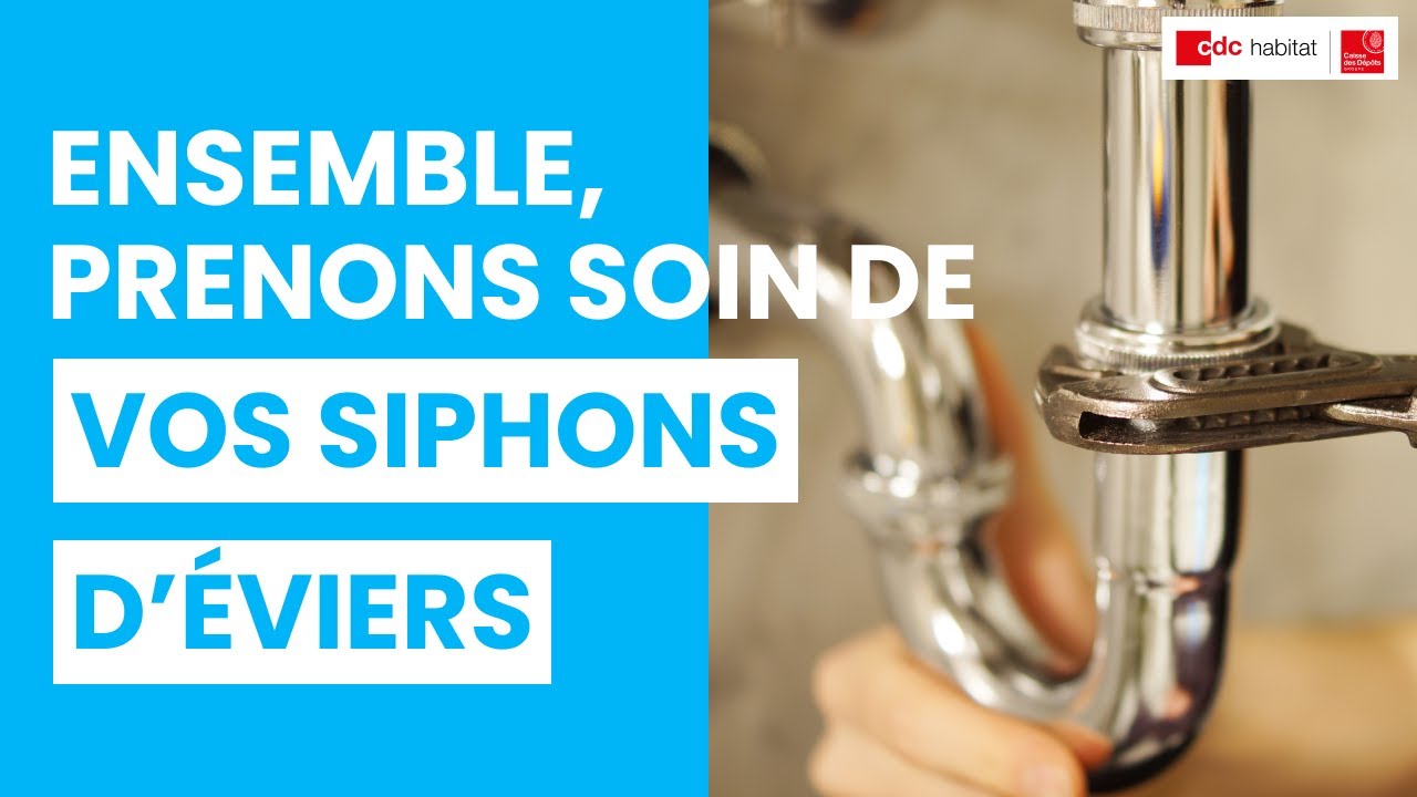 Siphon : Prise en main et astuces pour bien s'en servir - chefNini