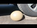 Crushing Crunchy & Soft Things by Car!   EXPERIMENT CAR VS BIG EGG 4