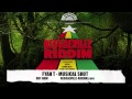 Fyah T - Musical Shot [Reggaeville Riddim / Oneness Records 2012]