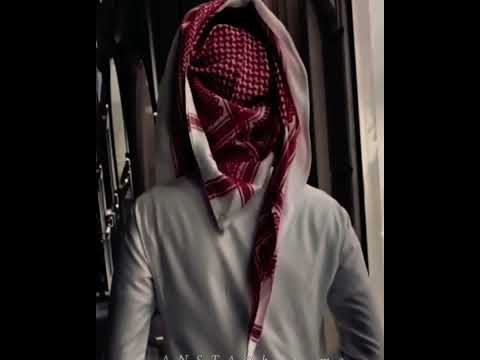 گلوله موش بخير ولفك هليام ستوريات حزينه