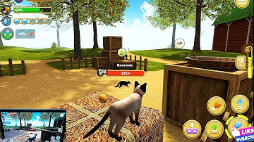 Cat Simulator 2020 #8 Cat Sim Online Game - Play with Cat Clan Pet Simulator 2020 - Android Gameplay