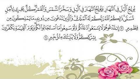 ادريس ابكر سورة فاطر كامله