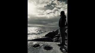 Ali Haydar Can ~ Dendar (Borçlu) Resimi