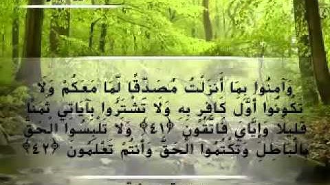 Moustafa Haredy  El Baqarah Ayah 40-43| مصطفى هريدى - سورة البقرة - من أية 43 -40