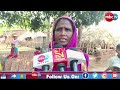 ବଣୁଆ ମଇଁଷି ଆକ୍ରମଣରେ ମହିଳାଙ୍କ ମୃତ୍ୟୁ, ଗାଁରେ ଶୋକର ଛାୟା