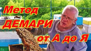 Борьба с роением пчел Метод Демари наглядно #1