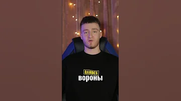 Самые умные животные в мире