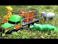 Zoo Animal Toys 🐯 Ride in Bouncy Transport Truck