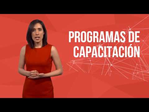 ¿Es Ilegal Negar Empleo Basado En La Política?