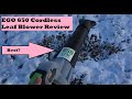 Ego 650 Best Cordless Battery Leaf Blower? (Like a Hurricane in Your Hands) Product Demo, Review