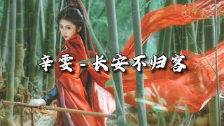 辛雯 - 长安不归客『纵然尘世间 有万般烟火，不及故里那一抹 皎皎月色。』【动态歌词MV】