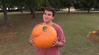 SJA Pumpkin Unloading 2018