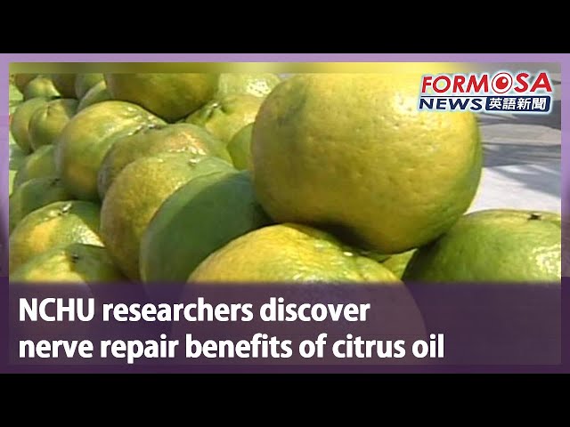 NCHU researchers discover nerve repair benefits of citrus oil｜Taiwan News